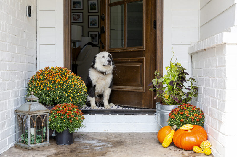 Arkansas interior photographer