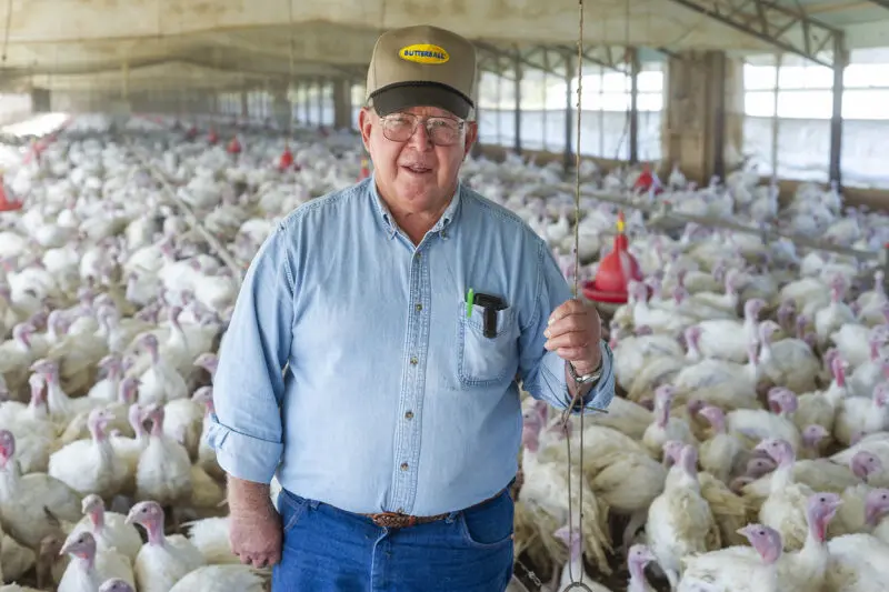 Portrait of a turkey farmer in a barn full of birds
