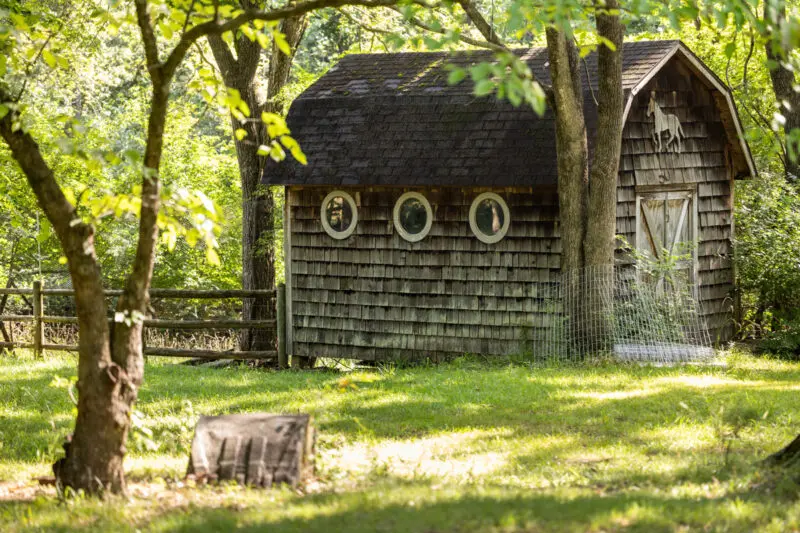 Detail-focused documentary style photography, showcasing the landscaping in the Sutherland family’s Fayetteville garden.