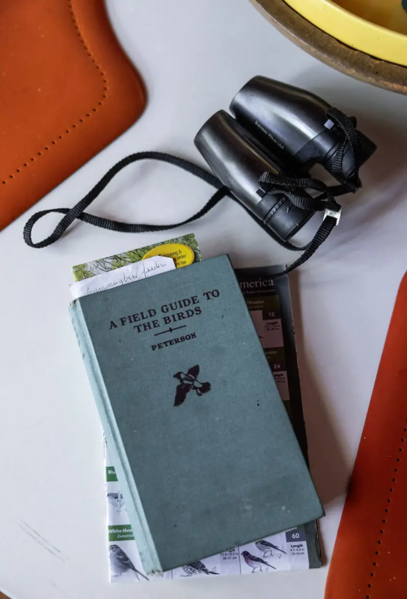 Lifestyle and interior photography in Arkansas, capturing curated collections and meaningful artifacts from a lifetime of travel.