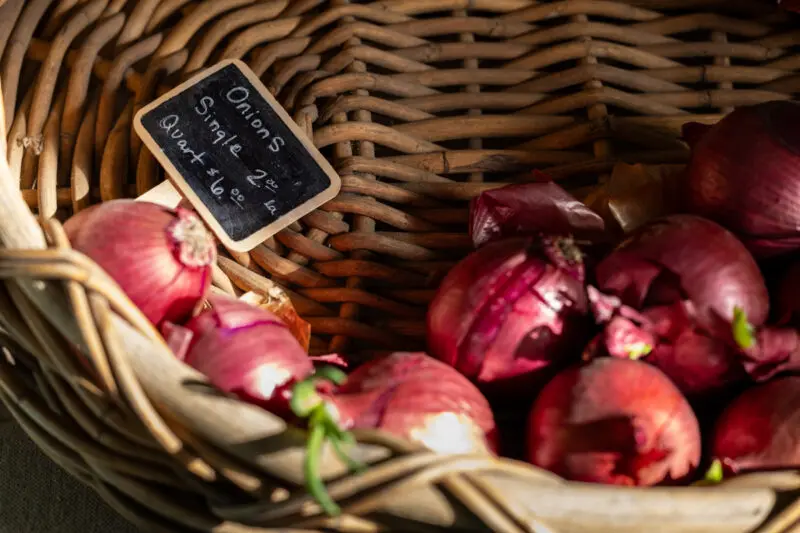 Editorial agricultural photography of Melissa and Adam Millsap, founders of Turnbuckle Farm, for Plated Magazine.
