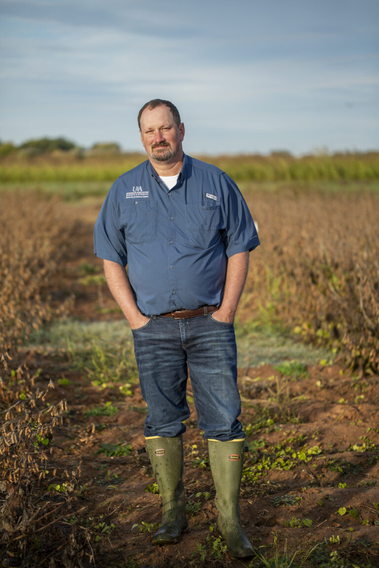 A scientist stands in a field of soybeans while studying dicama drift.