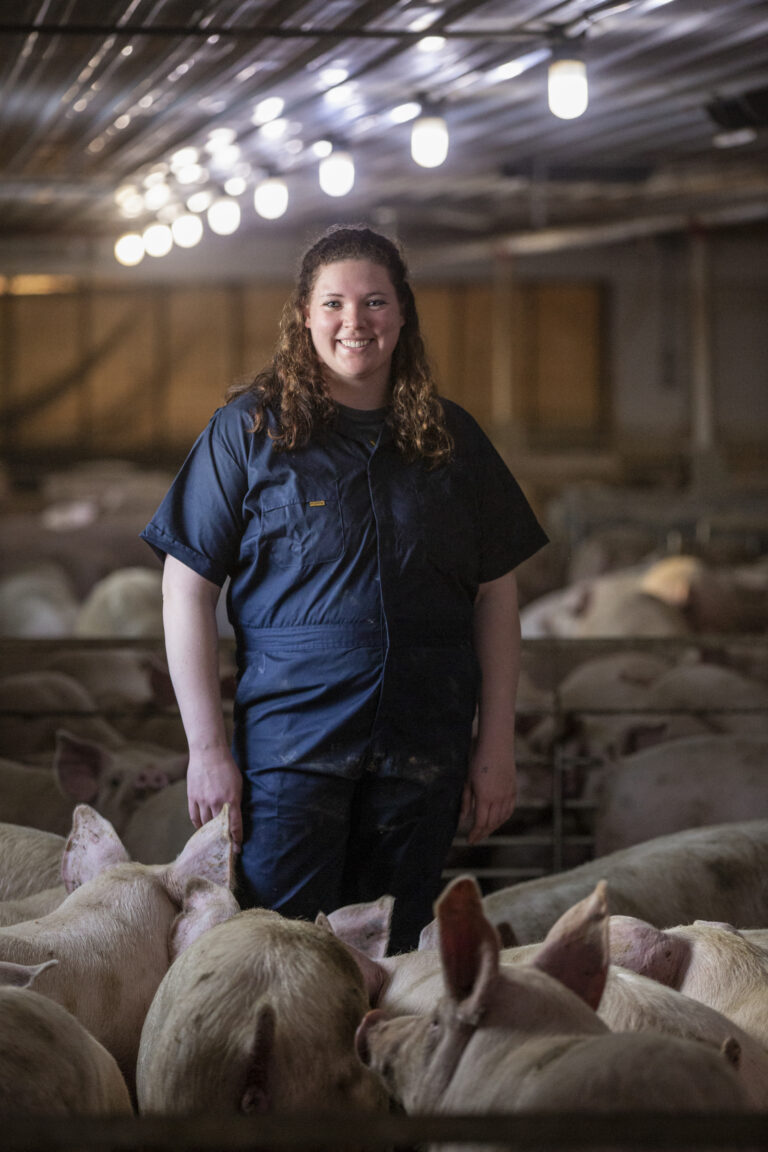 A veterinary technician stands among hogs in a barn in the midwest.