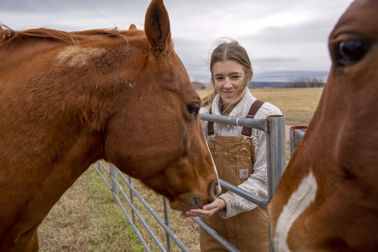 Photograph of a young female farmer petting two brown horses.