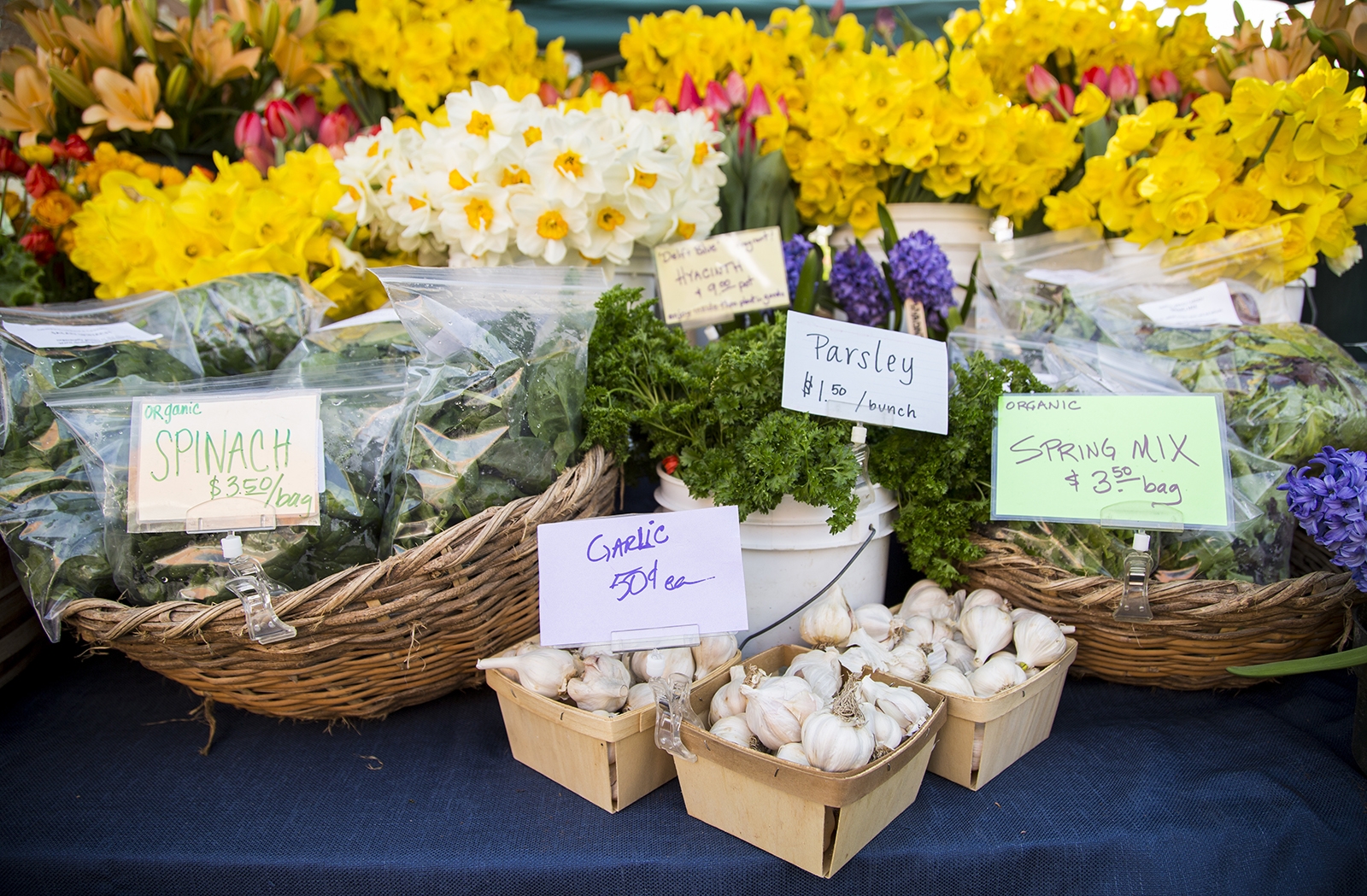 A display of flower and herbs at a farmer's market in Fayetteville, Arkansas.