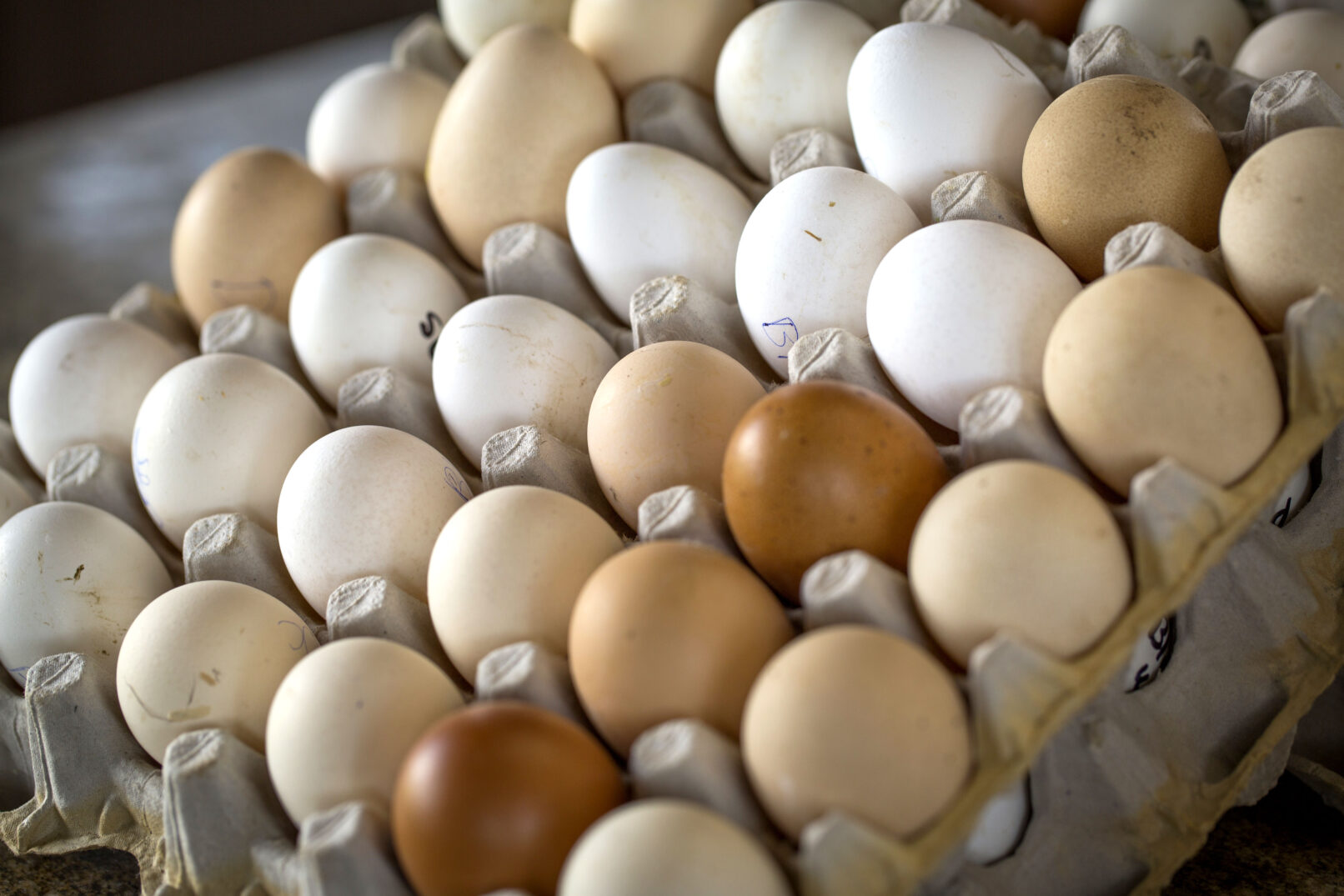 A large carton of colorful eggs in all shades of neutral tones.