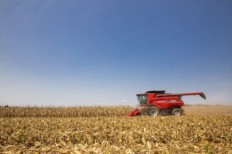A red combine harvests corn against a blue sky.