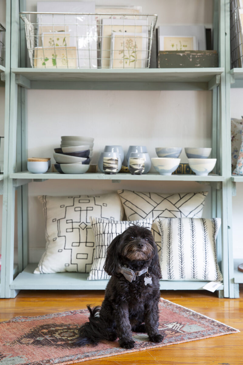 Interior photography of a dog sitting on a rug in front of a style bookshelf in a store.