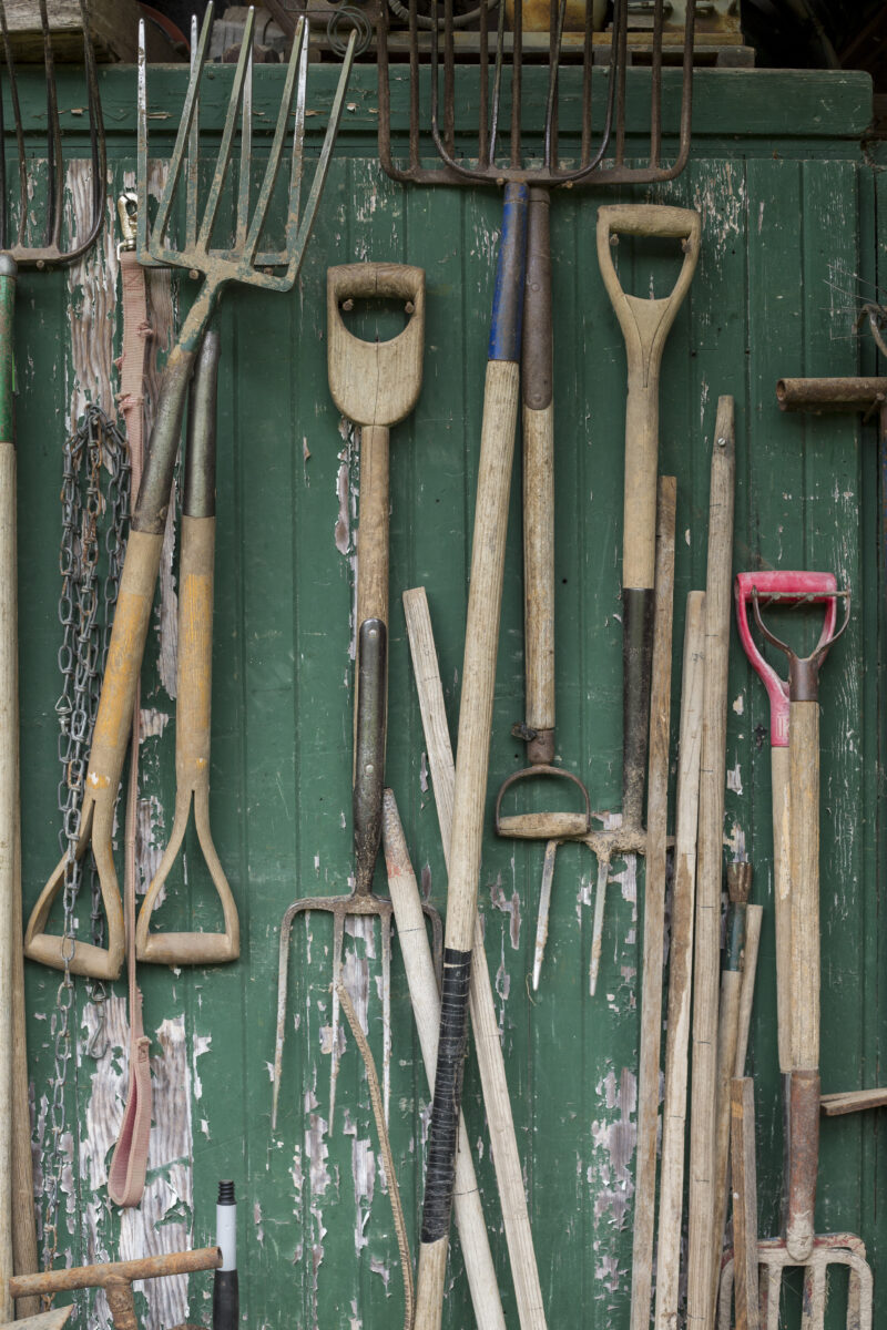 Tools hang on a green painted wall at a farm.