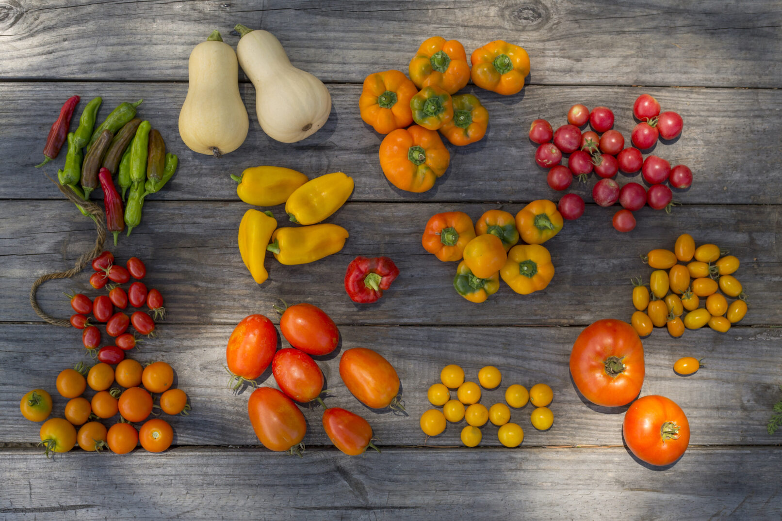 Red, orange and green tomato, squash and peppers in dappled light on a rustic, wood picnic table.