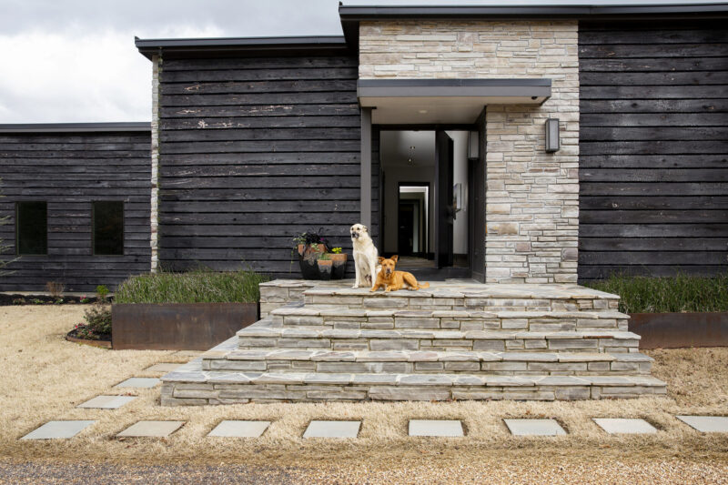 Exterior photography of a home with two dogs standing guard at the front door.
