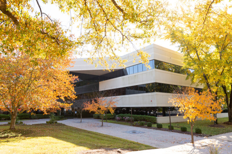 Exterior image of a building with yellow and orange trees planted nearby.